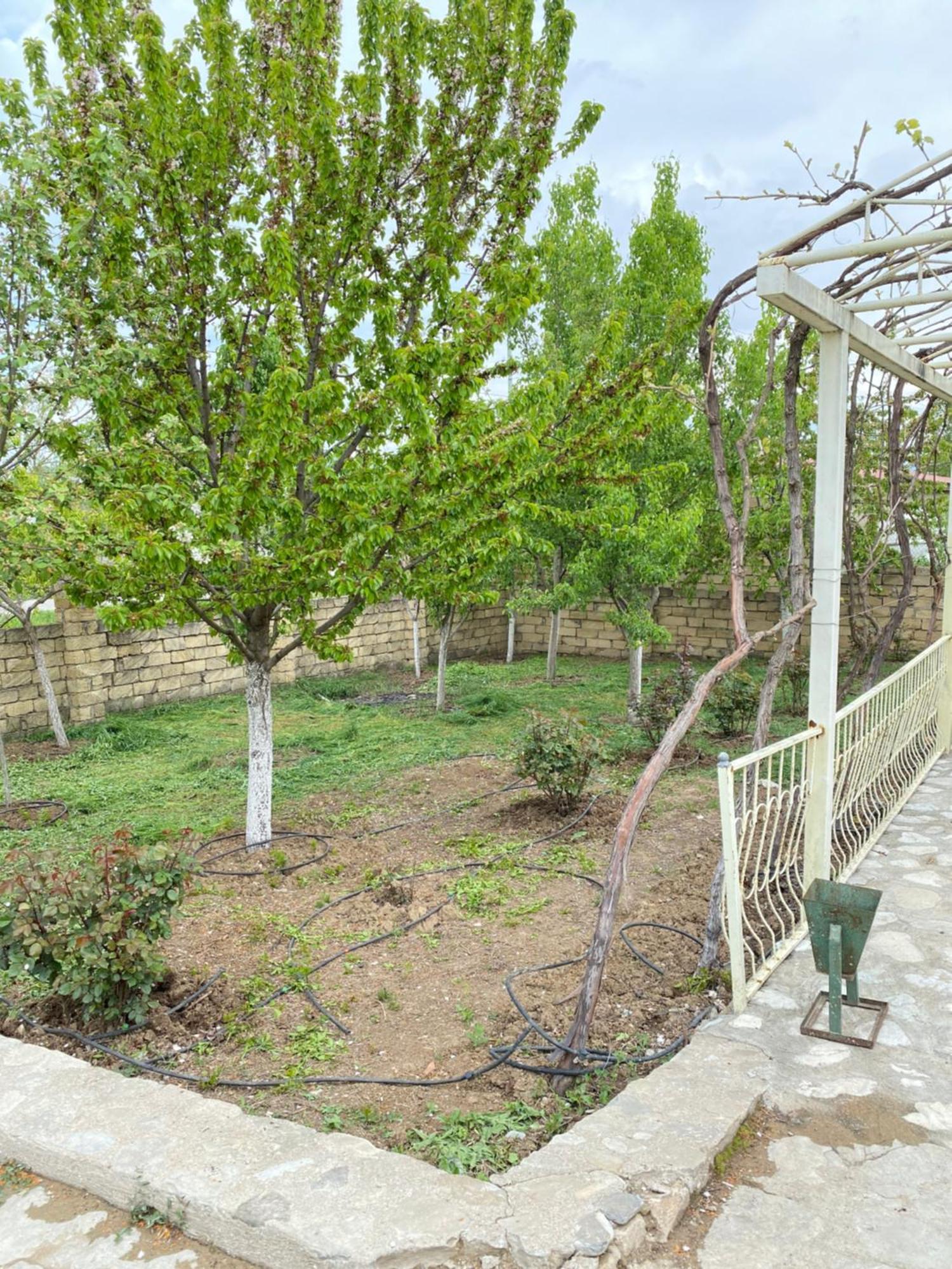 Sultan Makan Cuxuryurd Exterior photo